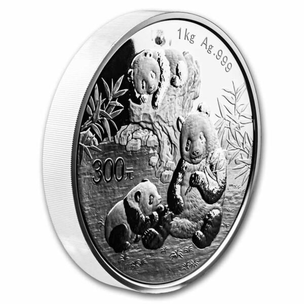 2025 China 1 kilo Silver Panda Proof (w/ Box & COA)
