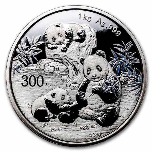 2025 China 1 kilo Silver Panda Proof (w/ Box & COA)