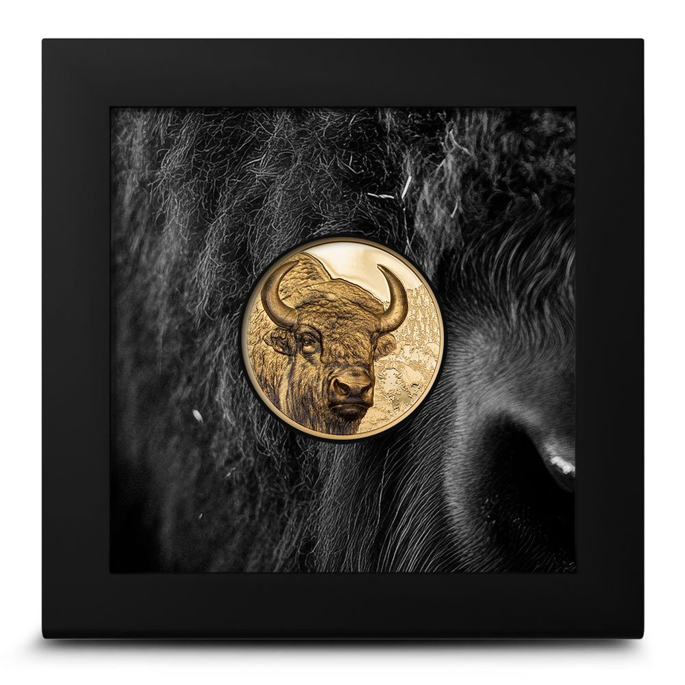 2025 1 oz Proof Mongolia Gold Bison Coin 2 2025 1 oz Proof Mongolia Gold Bison Coin