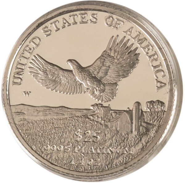 Proof American Platinum Eagle 4-Coin Set
