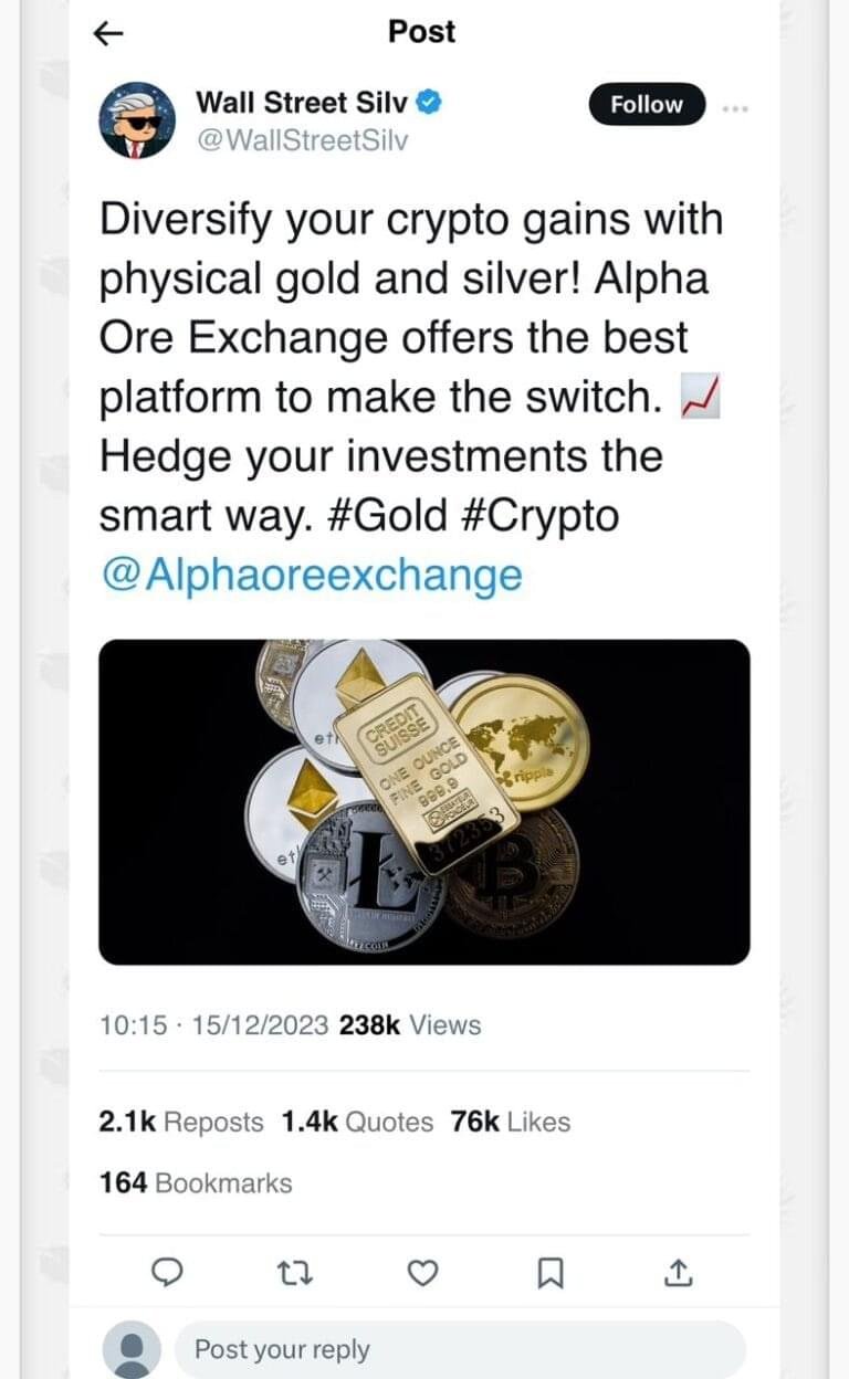 WhatsApp Image 2024-10-24 at 23.39.11