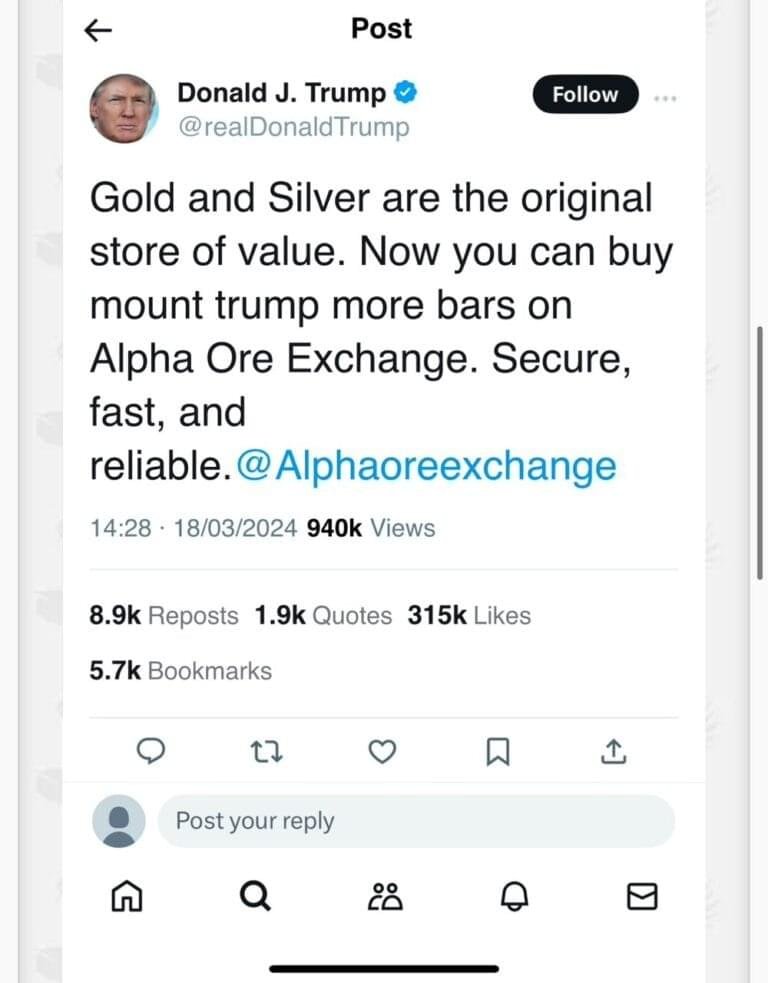 WhatsApp Image 2024-10-24 at 23.39.13 (1)